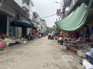 siêu hiếm - bán đất mai lâm, đông anh - 44m2 - 5, x tỷ - ô tô tránh, hàng xóm vinhomes