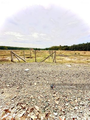 290tr, 5x25m full thổ cư, lộc ninh, tây ninh, đường 6m thông