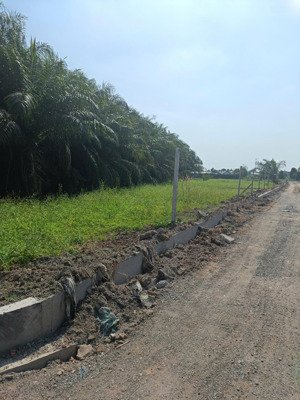 bán 600m2 đất nông nghiệp - 4 tỷ