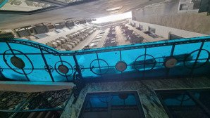 doanh thu khủng 7tỷ / năm - víp trần thái tông 310m2 xây 9tầng rộng 16m tổng 96 pkk với doanh t