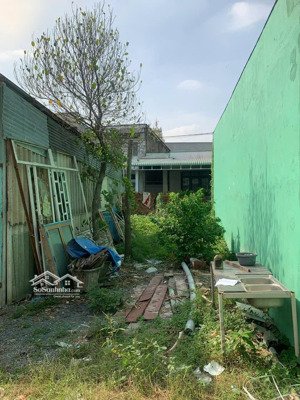 tân vạn đất shr thổ cư 79m² (4.2x18.5) giá 1 tỷ 850tr