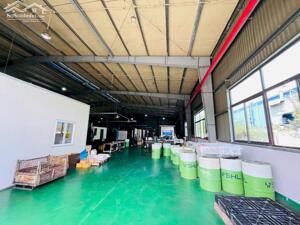 BÁN XƯỞNG TRONG KCN VISIP 2 VĨNH TÂN TÂN UYÊN BÌNH DƯƠNG (BX63)