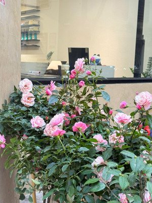 59.5 tỷ- biệt thự sài đồng, long biên- an sinh đẳng cấp - gần hồ công viên - thang máy - ở sướng