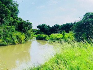 đất view đẹp hoà hội - xuyên mộc - brvt (hoà hội - tp. hcm)