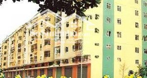 căn hộ cho thuê: lầu 5 - chung cư trần văn kiểu, quận 10, dt 60m2