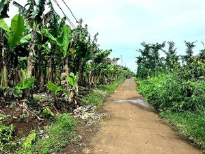 chính chủ cần bán 2000m2 đất tại cẩm mỹ, đồng nai giá 1 tỷ