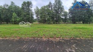 bán đất kcn an phước long thành, đồng nai, 45.000 m2