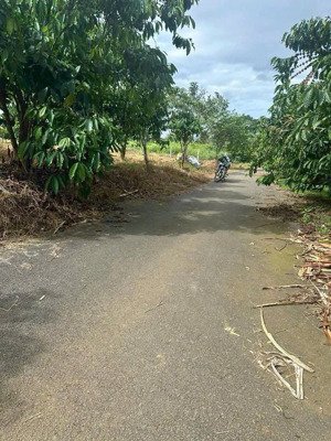 2,8 sào mặt tiền đường nhựa tân lạc, bảo lâm, sẵn thổ cư giá rẻ siêu đầu tư