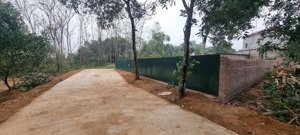 cần tiền bán cắt lỗ - 779m2 thổ cư tặng 216m2 lưu không - cán khê nguyên khê mt 21 ô tô tránh nhau