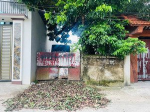 bán 100m2 trục chính đồng trạng - cổ đông, full thổ cư