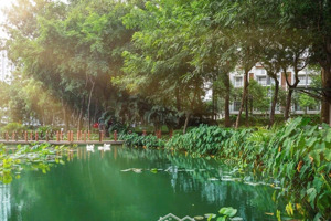 sở hữu skylinke villa - xe hơi chạy lên tận nhà celadon city giá ưu đãi duy nhất tháng 1.2026