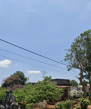 chủ đi nước ngoài cần bán lô đất tại xà bang châu đức, dt 388m2 ngang 10m mặt tiền nhựa 10m