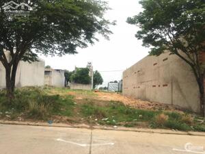 Đất Thổ Cư 125m² Mỹ Yên – Giá Chỉ 900 Triệu – Hàng Hiếm