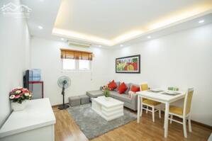 Tòa nhà Sumitomo cho thuê căn hộ dịch vụ 1 ngủ 65m2 tại Đào Tấn gần Lotte. 0922.818.282