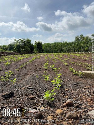 bán đất láng lớn mặt tiền đường nhựa diện tích 1000m2 giá 1.6 tỷ