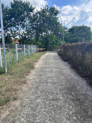 bán 2 lô diên thọ giá chỉ 499 triệu/lô, đường ô tô vị trí đẹp