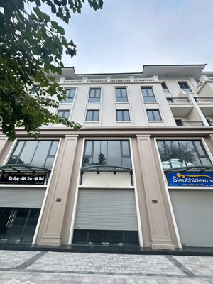 bán gấp shophouse mặt tiền đường đại lộ bốn mùa 51m giá siêu tốt, quý anh/chị nhanh tay nhanh tay