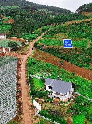 bán gấp đất 2 mặt tiền mê linh, lâm hà, 12x25m, 130m2 thổ cư, đường betong 5m, sổ riêng, giá 639tr