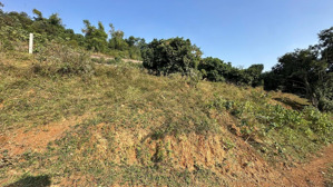 bán 1,3ha (13.000m2) có 1000m thổ cư đã tách 3 sổ view đẹp tại phú mãn, quốc oai