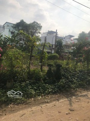 lô đất 100m² kdc bến lức, chợ bình điền phù hợp xây nhà cho thuê đón sóng làng đại học 13e