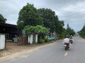 chính chủ cần bán đất có nhà cấp bốn tại đường cồn thạnh, bến trễ