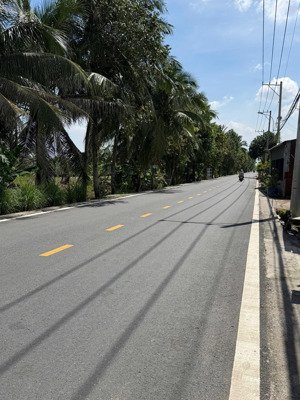 chủ cần tiền bán rẻ 220m2 đất ở mặt tiền đường nhựa thích thiện hoà xã lê minh xuân, bình chánh.