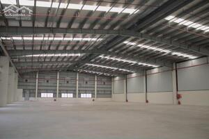 CHO THUÊ KHO XƯỞNG XÂY MỚI BÌNH CHÁNH, TPHCM 6000M2- PCCC NGHIỆM THU- ĐƯỜNG CONT