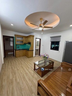 bán gấp chung cư mini hoàng đạo thành- 50m- 2 ngủ- oto qua nhà- full đồ ở ngay