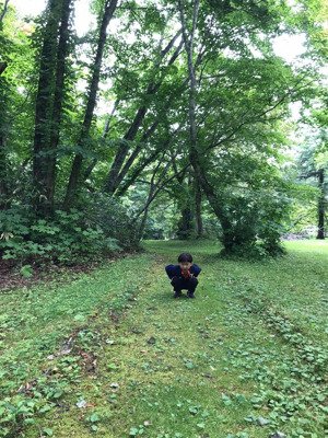 bán khu du lịch 5 ha - 20 ha chính chủ pháp lý chuẩn