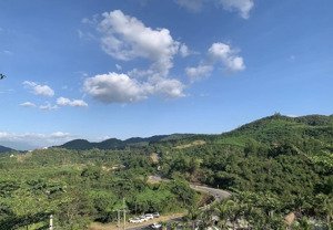 1,1 ha mặt tiền ql27c có thổ cư - cầu bà khánh vĩnh, view sông khánh lê cực đẹp, giá đầu tư