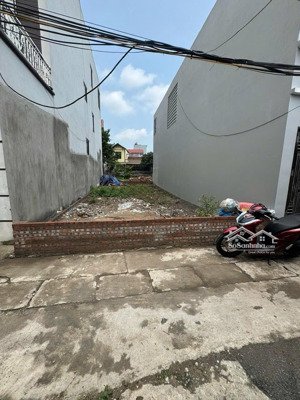 bán đất ở đê mới, phụng châu, chương mỹ, hà nội, 4,3 tỷ, 100m2