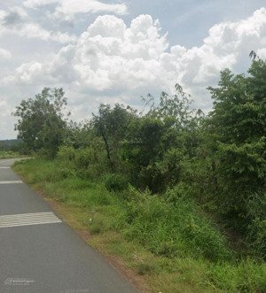 bán đất tại thị trấn tân khai, hớn quản, bình phước, 2,1 tỷ, 700 m2 chỉ với chính chủ