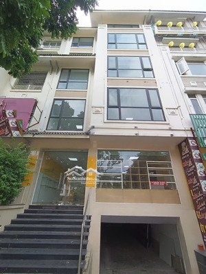 cho thuê nhà khu a geleximco. dt 160m2, 5 tầng 1 hầm, đh, nl đầy đủ, thang máy, giá 50tr