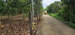 hạ sâu, bán gấp đất kim long 80x47, cách ql56 150m