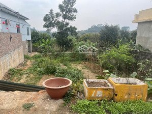 bán đất tại trung hưng, sơn tây, hà nội 10 tỷ, 258 m2 uy tín