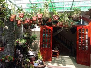 bán nhà 3 tầng đẹp mạc đĩnh chi nha trang, nhà chính chủ có sổ hồng, nội thất xịn vào ở ngay