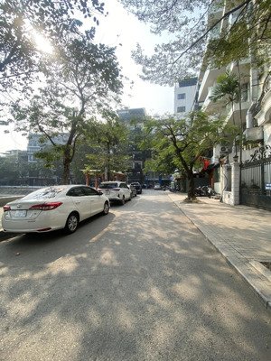 siêu phẩm ngõ phạm huy thông-kim mã view hồ ngọc khánh ô tô tránh dt 175m-mt 11m giá 92 tỷ