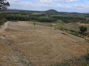 1ha đất gần đường tránh đông xã hòa khánh mà giá chỉ 349tr 1 sào