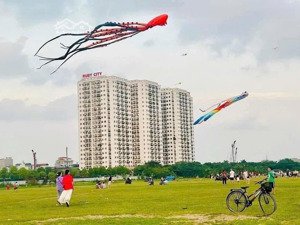 bán cc ruby city ct3, 3,78 tỷ, 55m2, 2pn, 2wc, giang biên, long biên, hà nội, giá tốt, uy tín