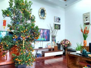 bán cc a10-a14 nam trung yên, 6,6 tỷ, 75m2, 3pn, 2wc 