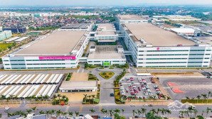 40 lô phân khu đảo dừa tại xã bát trang - an lão - hải phòng, 650 triệu, 65m2