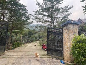 gia đình em cần tiền cắt bán lô đất 320m, mặt đường trải nhựa 14m, xóm hà nội xung quanh ngõ đều bt