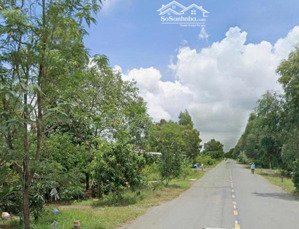 bán đất tại đường 819, xã tân lập, mộc hóa, long an, 120 tỷ, 82137 m2, giá siêu hời