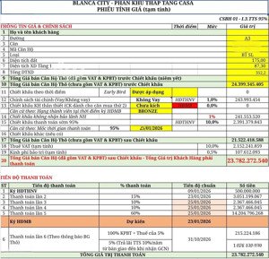 bán biệt thự song lập trục a3 - quỹ đất sở hữu lâu dài ven biển cuối cùng tại đô thị biển vũng tàu