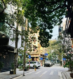 đầm trấu - chính chủ cần tiền bán gấp nhà 2 mặt tiền đầm trấu, 8 tầng thang máy, sẵn sổ.