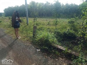 bán đất tại thị trấn tân khai, hớn quản, bình phước, 950 triệu, 250m2, bao đẹp