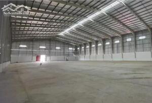 Cho Thuê Xưởng Mới Tân Uyên Bình Dương | 2.400m² 4.700m² 7.200m² | Pccc Tự động