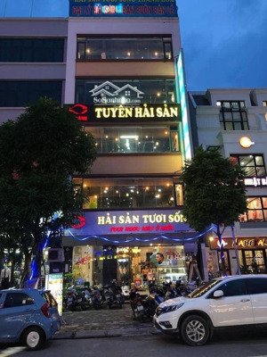 bán nhà cách chợ bến thành 500m - mặt tiền cô bắc, q 1 - 5,2x20m - 5 tầng. hđt 120tr/th - giá 35 tỷ