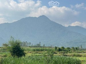 chính chủ gửi bán lô đất f0 tại yên bài, view núi ba vì, sổ đỏ full thổ cư, giá chỉ 11 triệu/m2