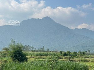 đất nghỉ dưỡng huyện ba vì, view núi ba vì, lô góc 2 mặt thoáng, sổ full thổ cư chỉ từ 11 triệu/m2